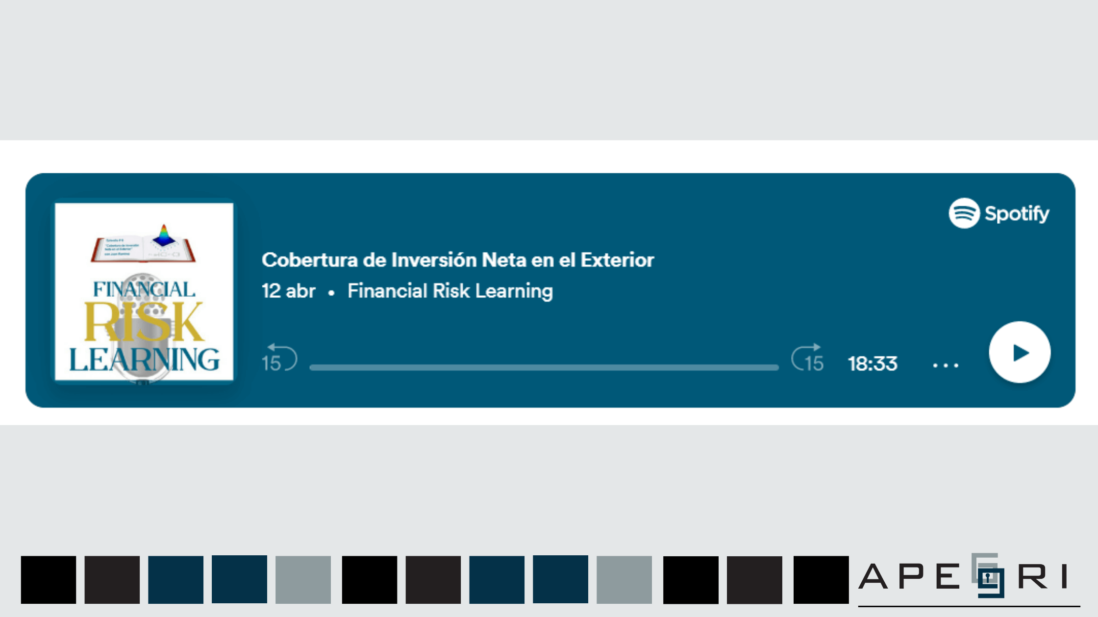 financial risk learning